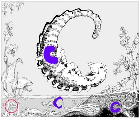 CRight